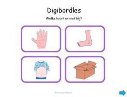 Digibord - Welke hoort er niet bij 01