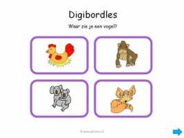 Digibord - Waar zie je een vogel