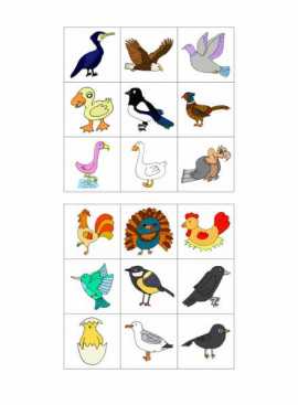 Werkblad vogels - Bingo vogels